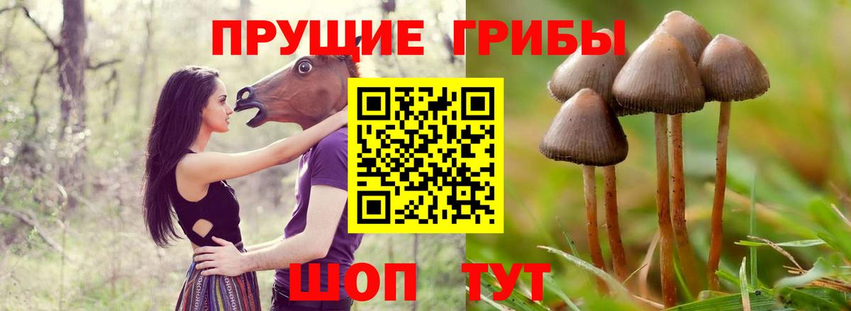 Псилоцибиновые грибы мицелий  Вход с VPN  Ефремов 
